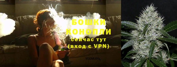 сатива Нязепетровск