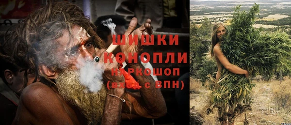 сатива Нязепетровск