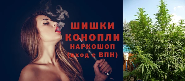 сатива Нязепетровск