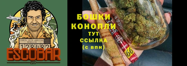 МДПВ Няндома