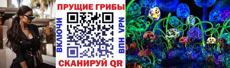 Галлюциногенные грибы ЛСД  Купить  Черкесск 