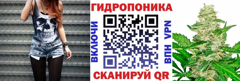 Бошки марихуана индика  Купить где  Черкесск 